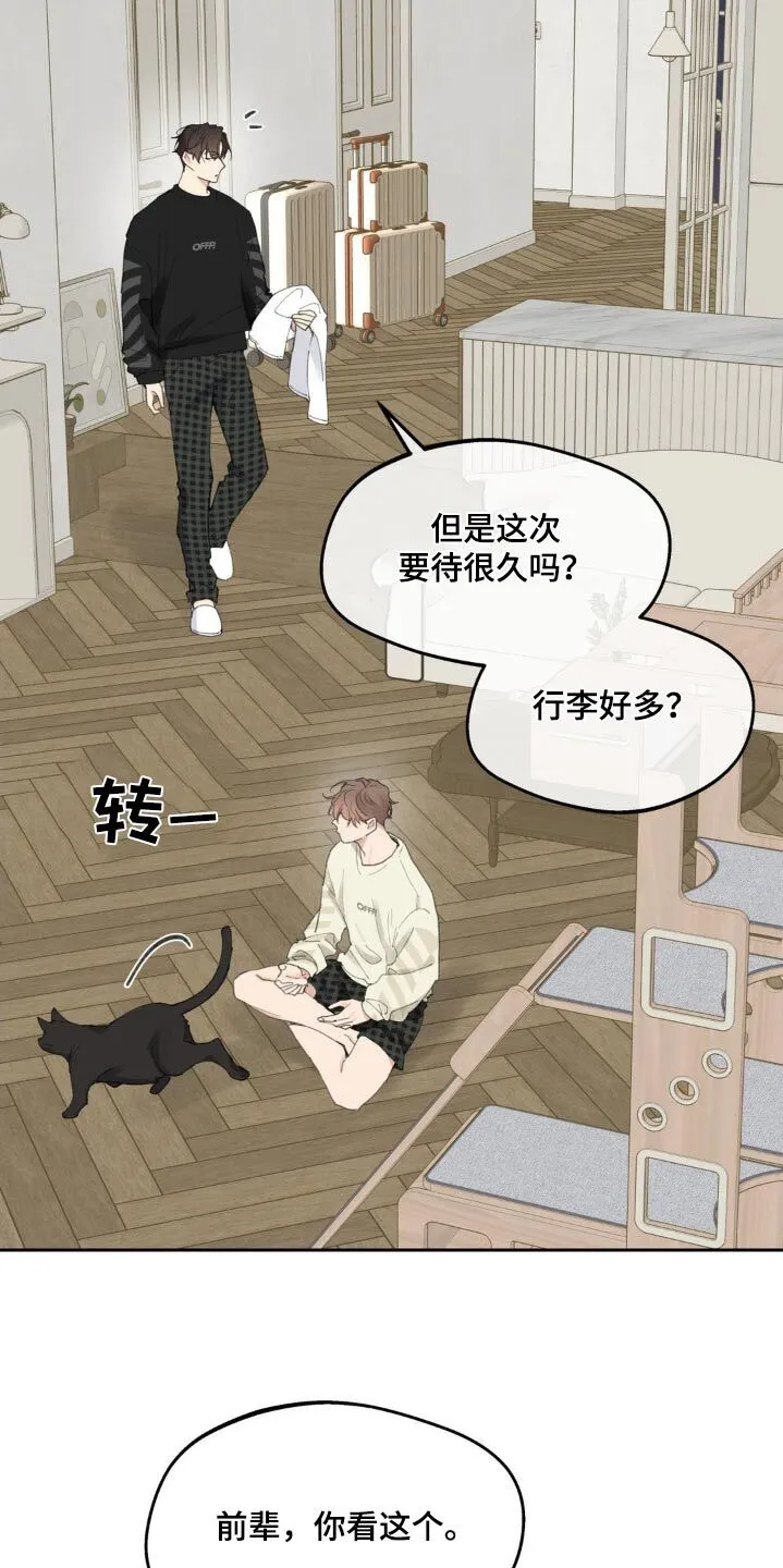 第229章：【番外】通知书 第14页
