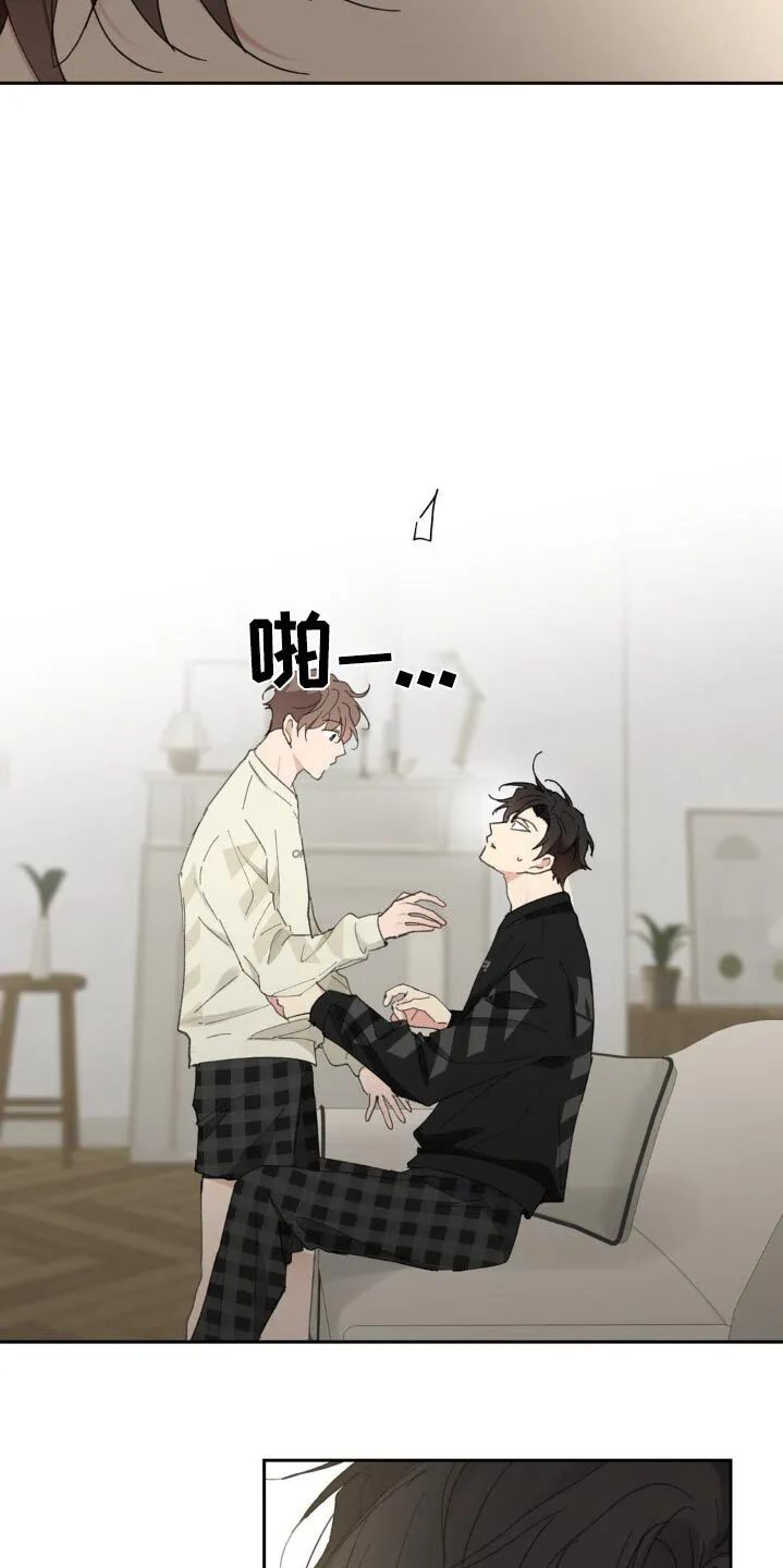 第231章：【番外】我不后悔 第3页