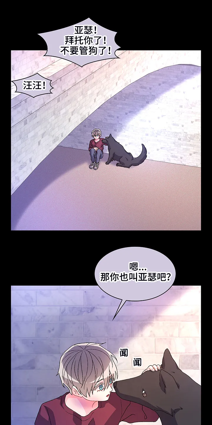 第114章：【第二季】初遇“亚瑟” 第12页