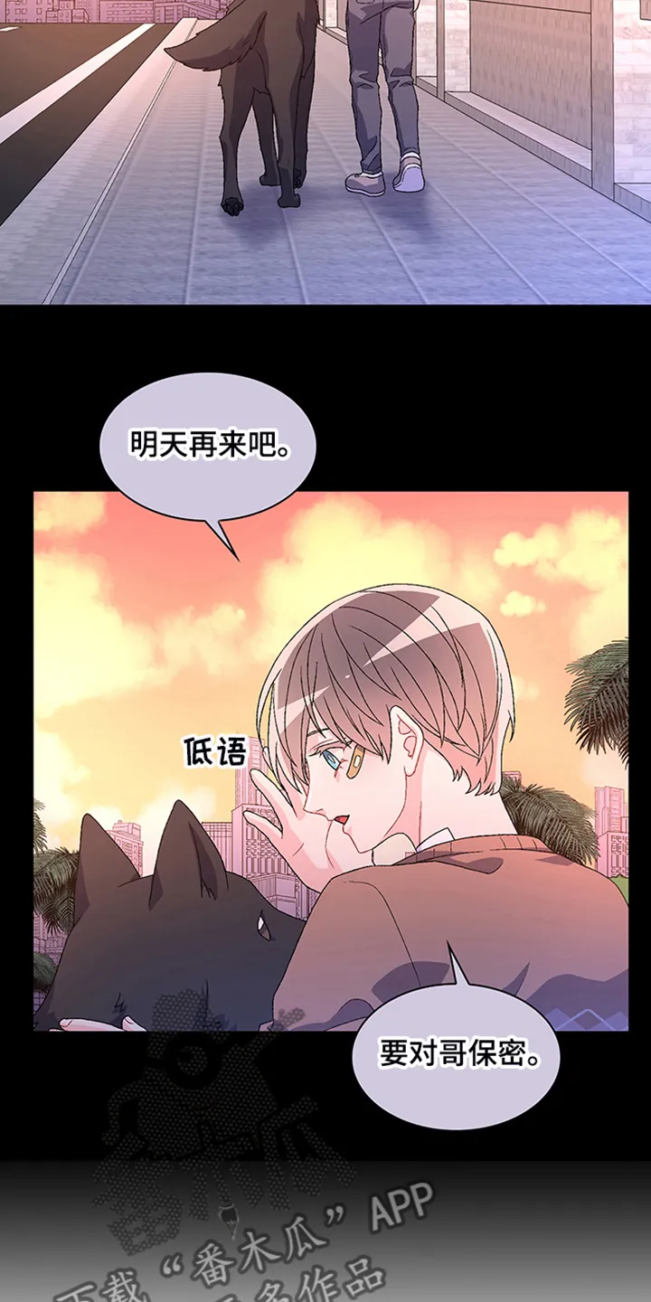 第115章：【第二季】“亚瑟”的死 第14页