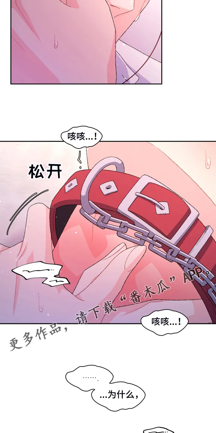 第137章：【第二季】真情流露 第24页