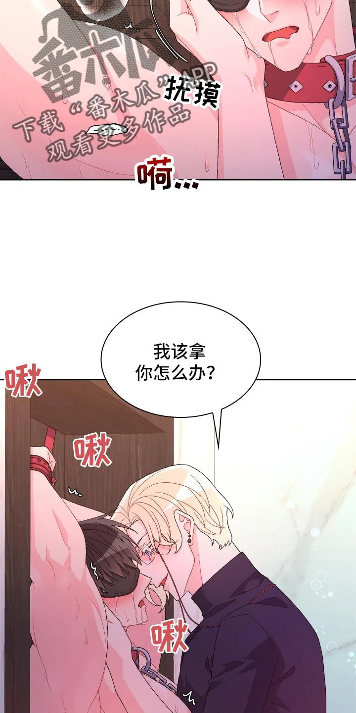 第159章：【第三季】只有我 第11页