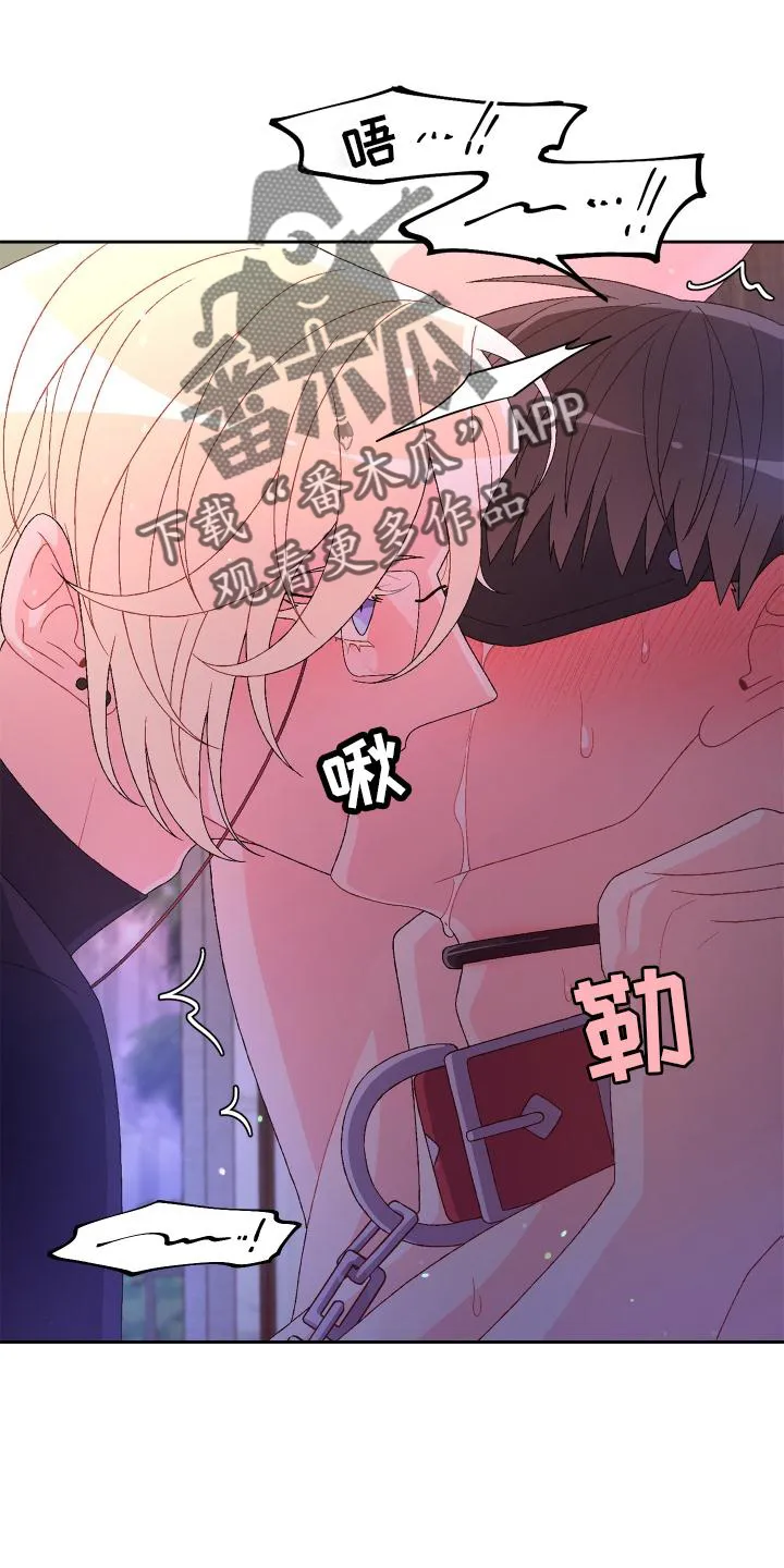 第160章：【第三季】傲慢又可爱 第15页