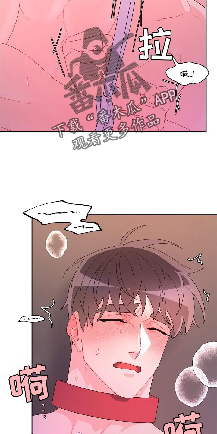 第177章：【第三季】归宿 第3页