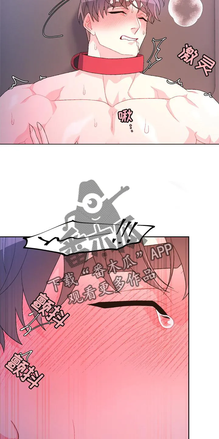 第177章：【第三季】归宿 第16页