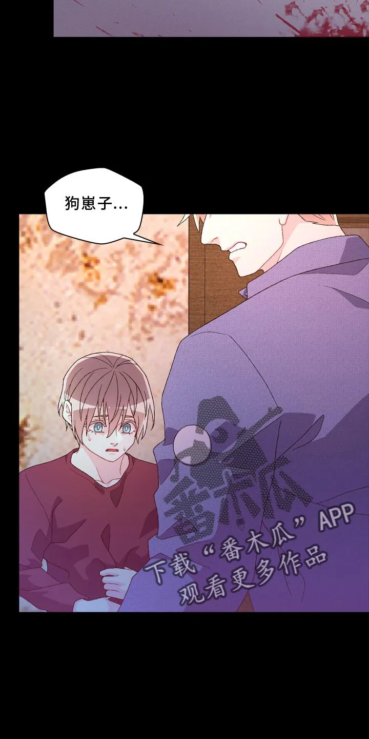 第183章：【第三季】嫌弃 第13页