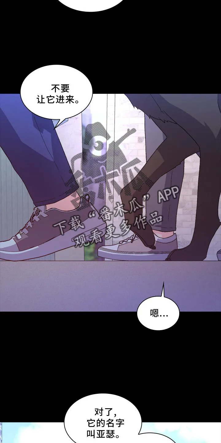 第183章：【第三季】嫌弃 第26页