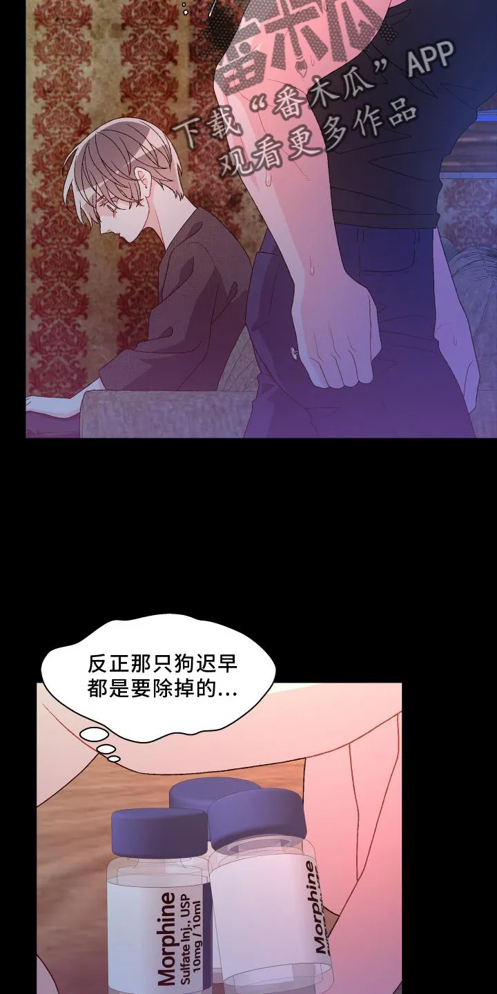 第184章：【第三季】决心 第5页