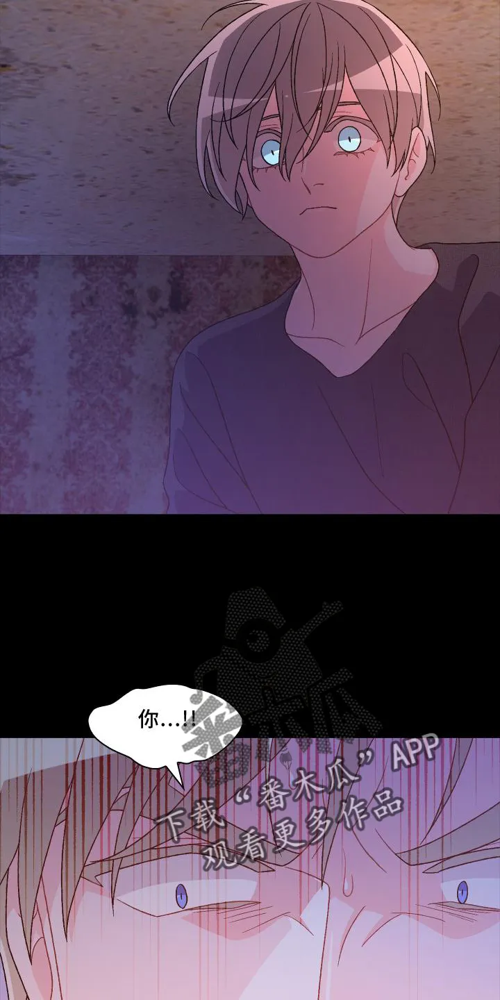 第184章：【第三季】决心 第17页