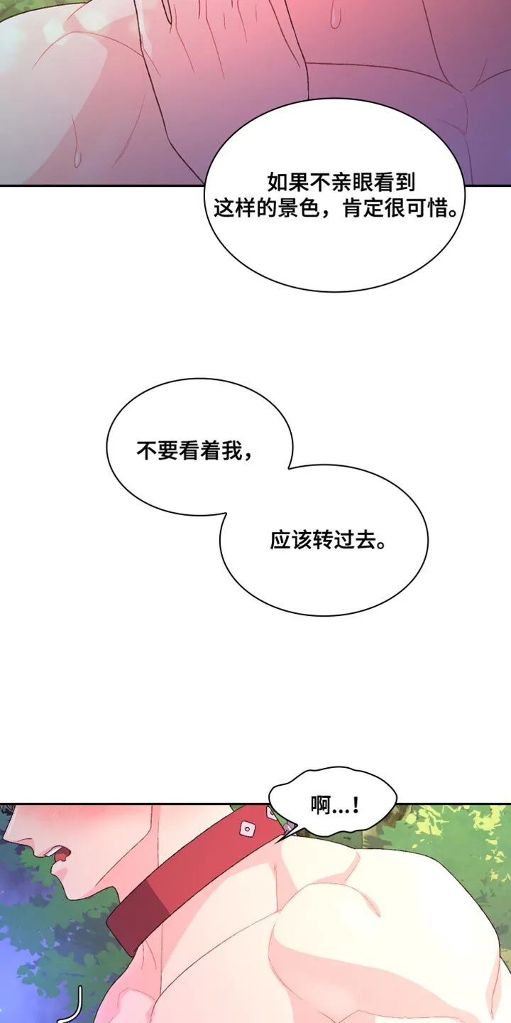 第191章：【第三季】不可以看着我 第17页