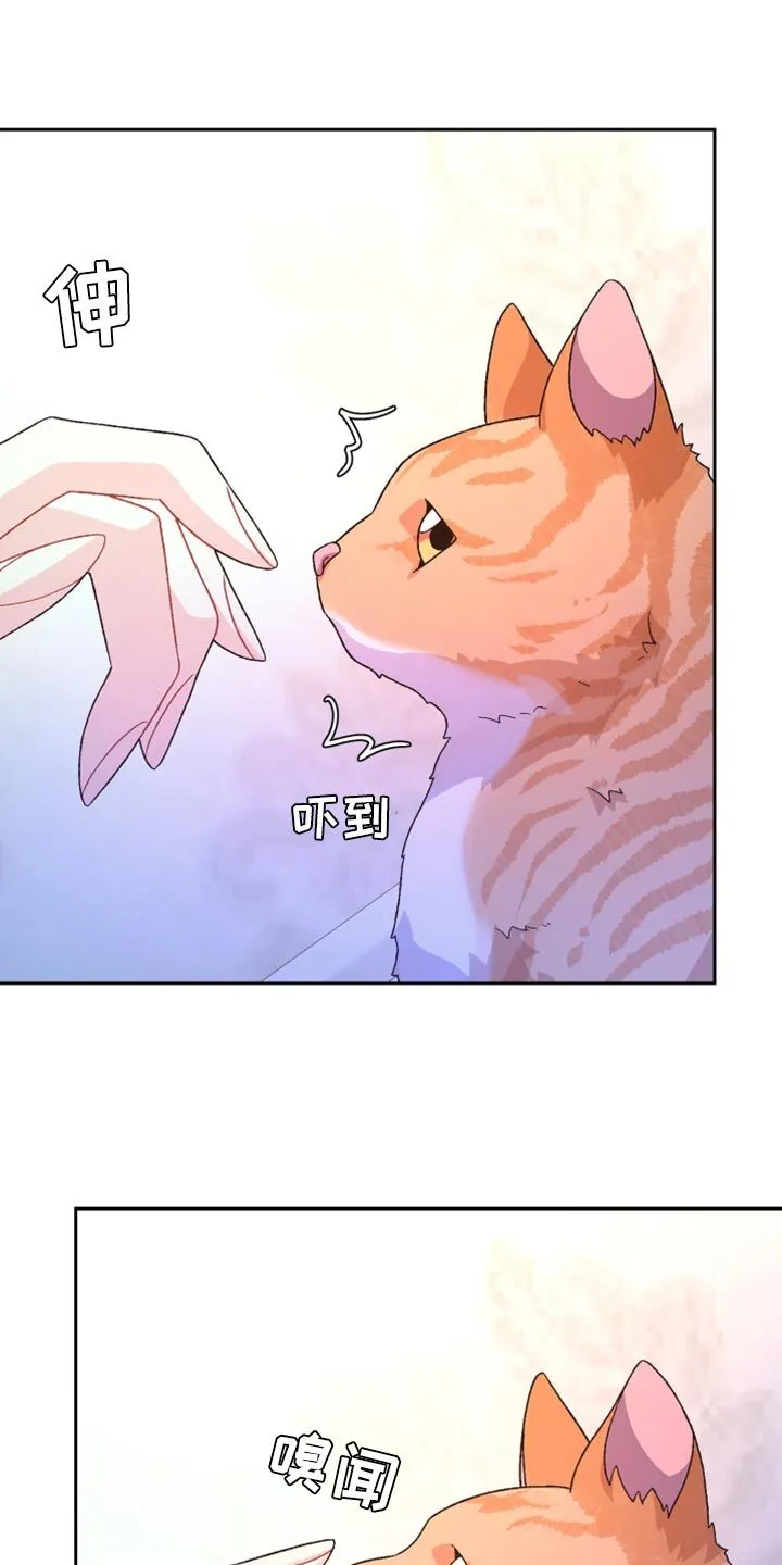 第196章：【第三季】订制戒指 第1页