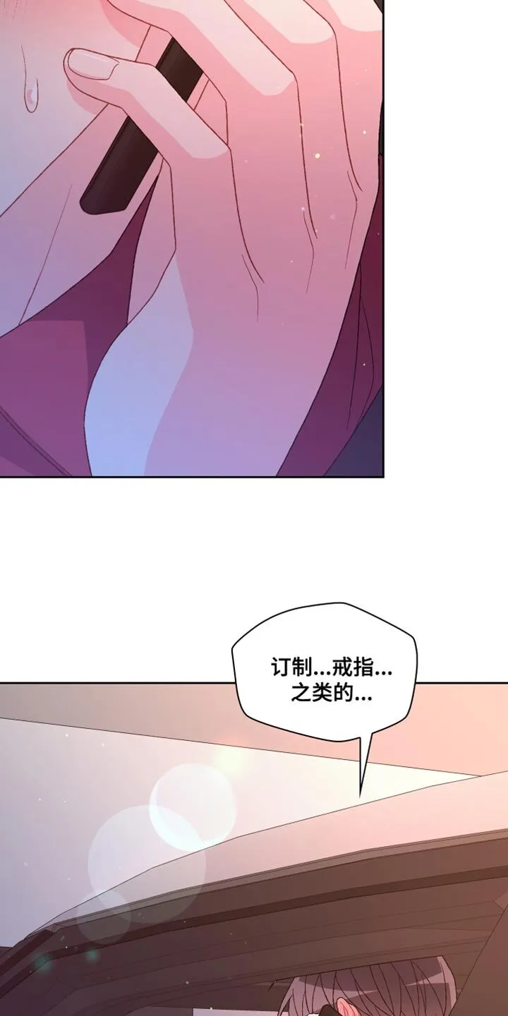 第196章：【第三季】订制戒指 第27页