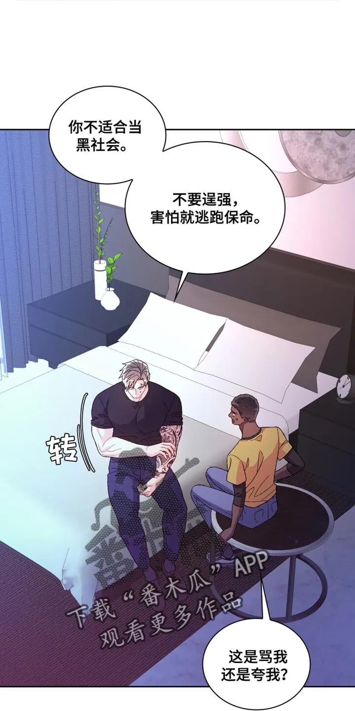 第220章：【第三季】我不想见 第11页