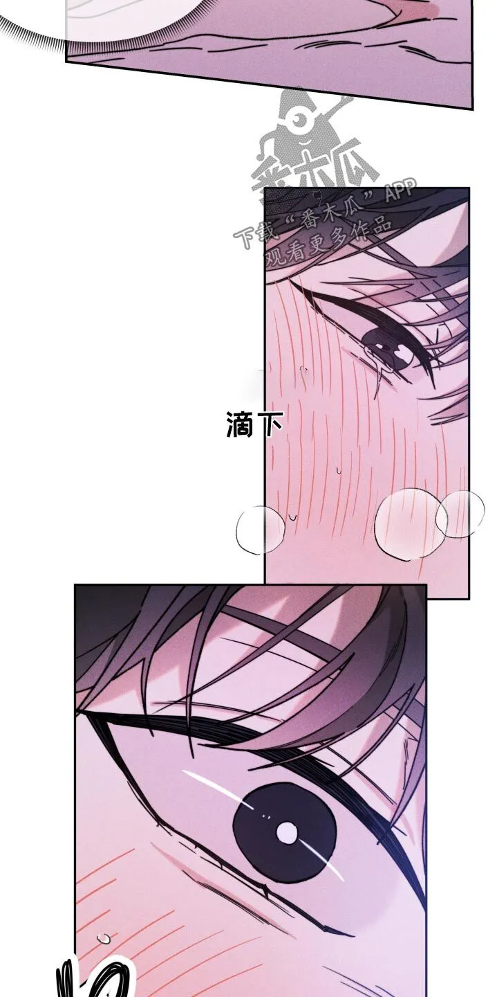 第28章：因为你 第3页