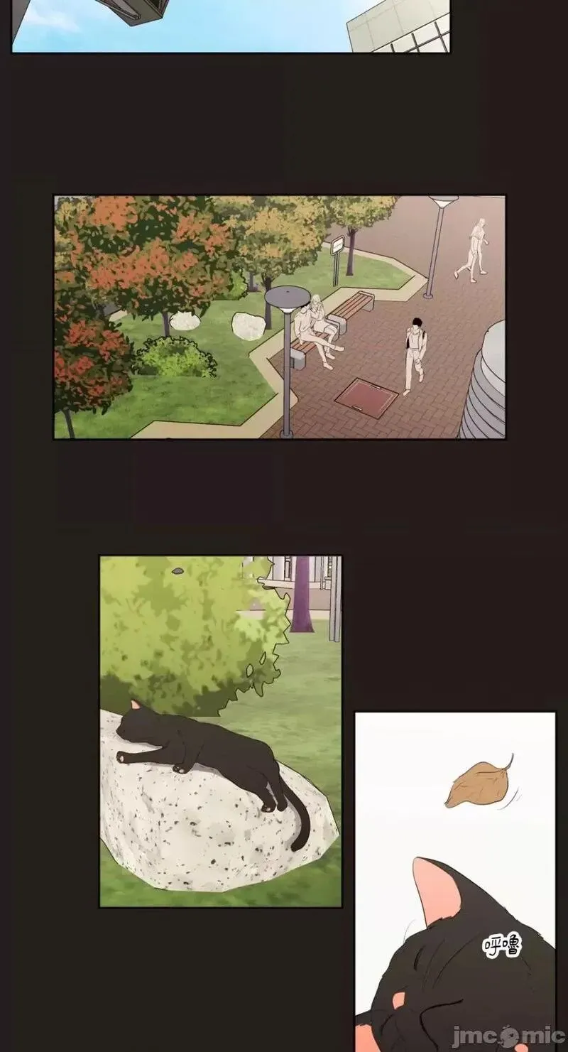 第26话 第26话 第15页