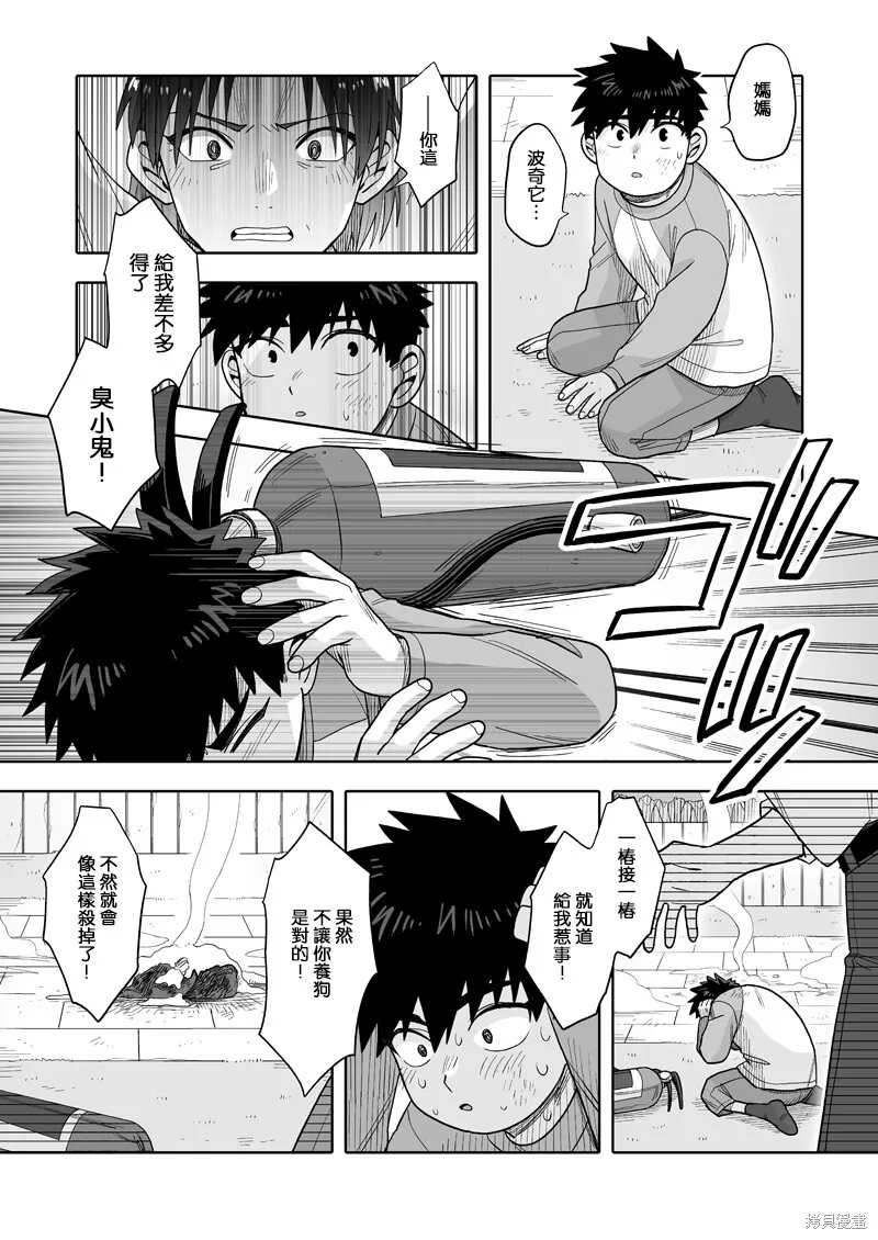 29 第17页