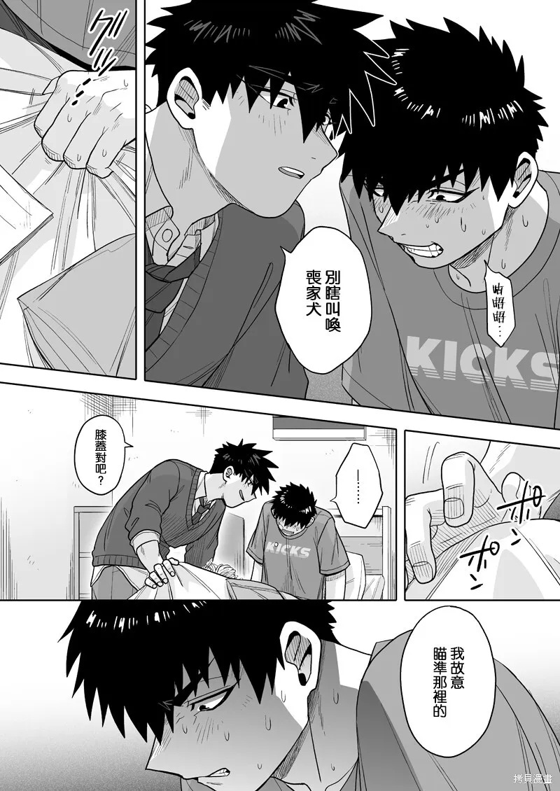 31 第6页