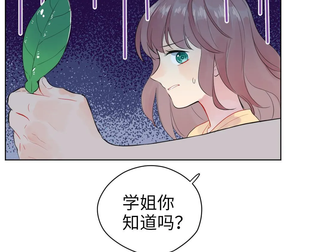 第31话 学弟的过去 第5页
