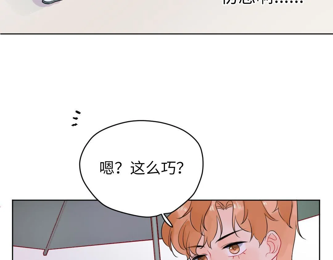 第37话 精致男孩 第4页