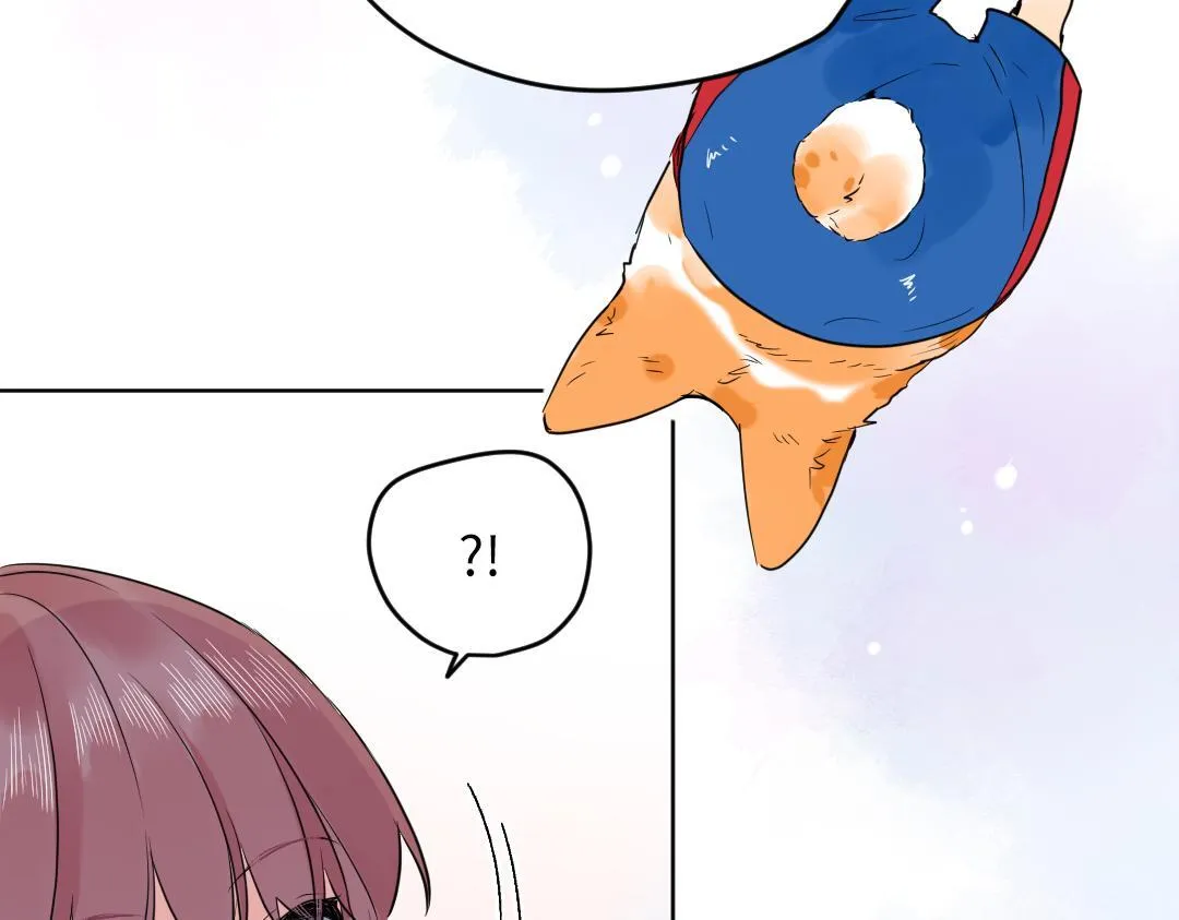 第41话 内心的想法是…… 第44页