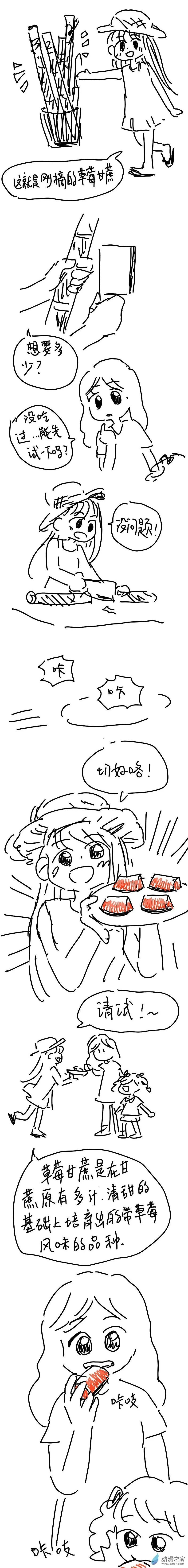 26 草莓甘蔗 第2页