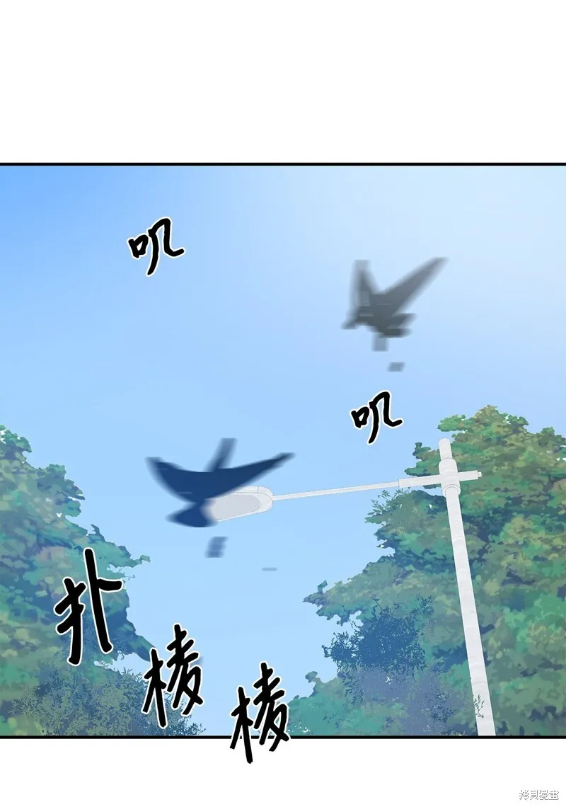 4 第62页