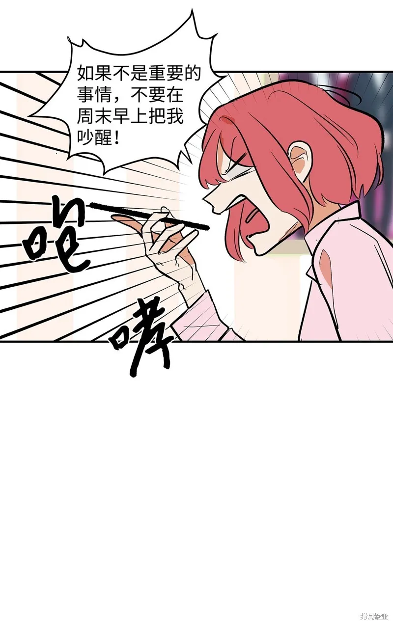 5 第7页