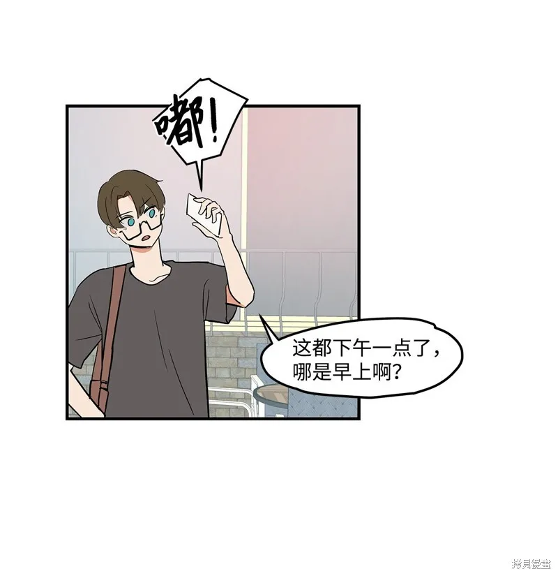 5 第8页