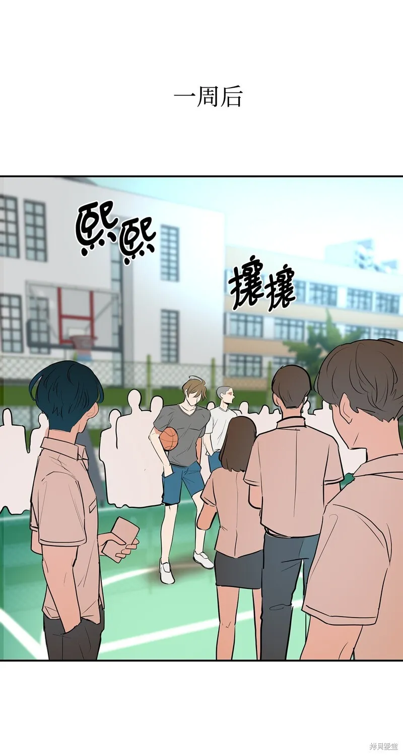 8 第44页