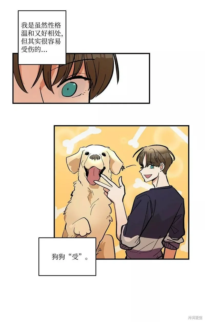 11 第5页