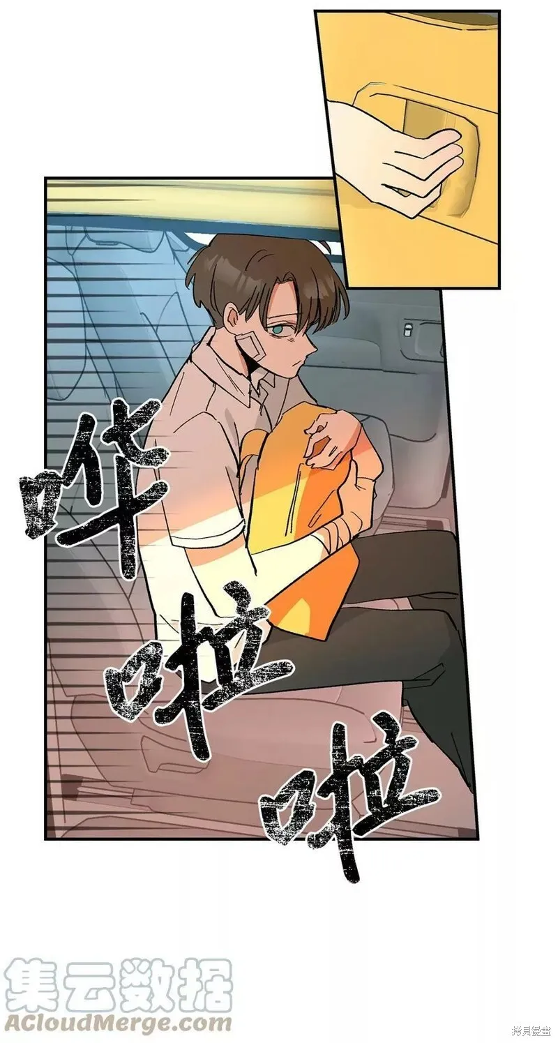 12 第12页