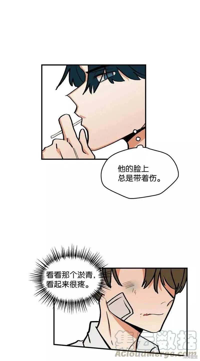 12 第15页
