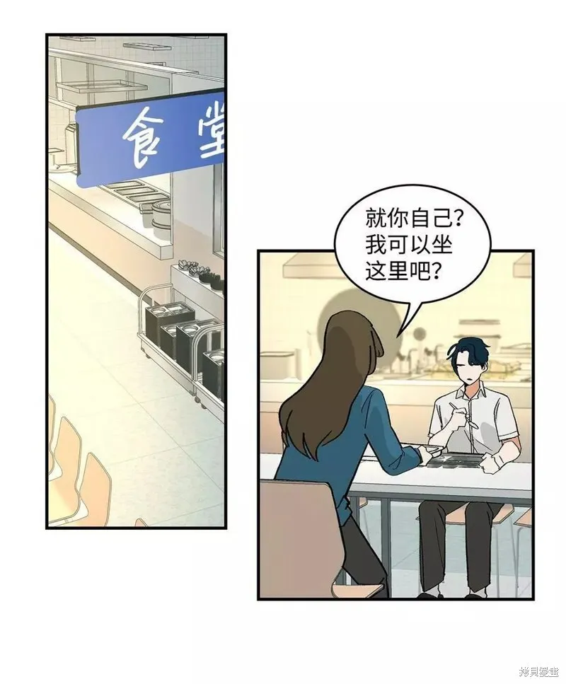 12 第43页
