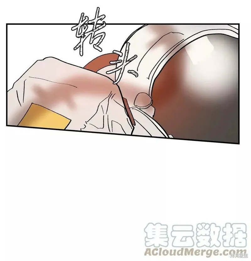 13 第48页