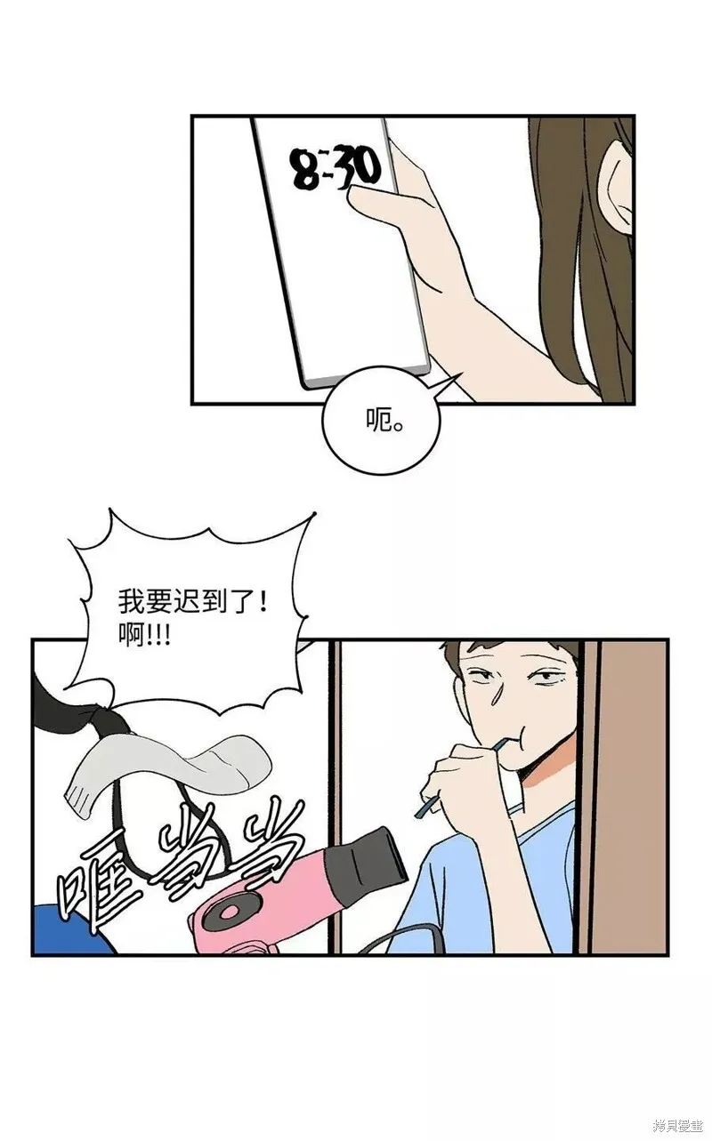 15 第31页