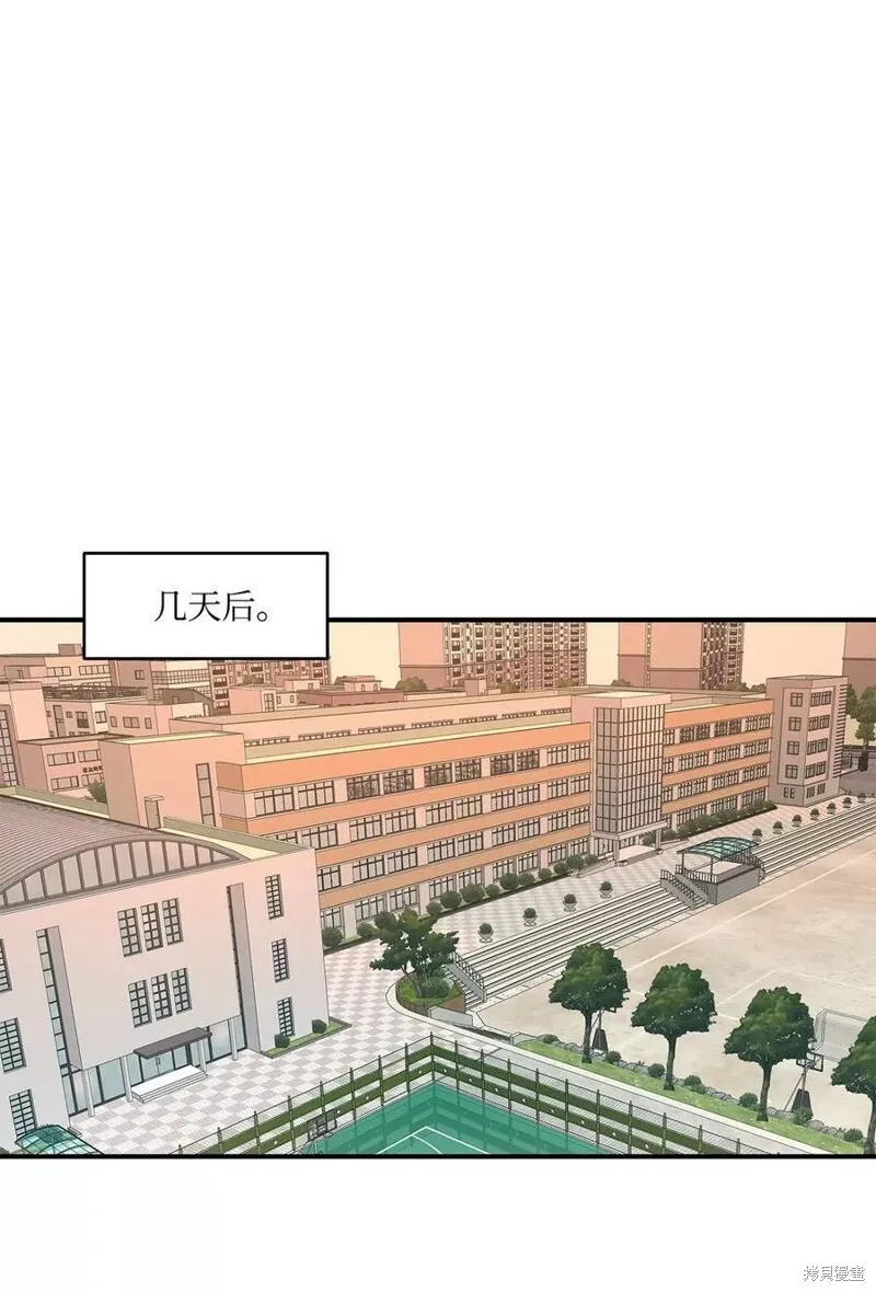 19 第3页
