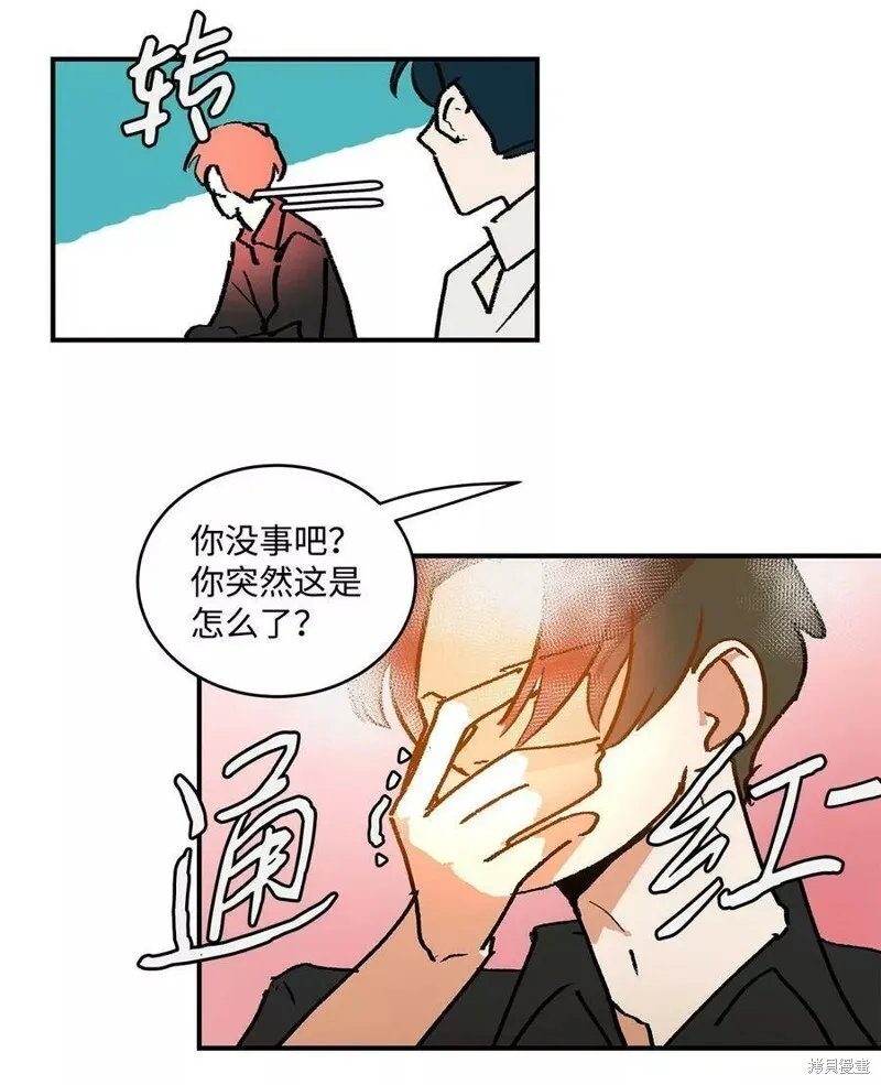 19 第15页