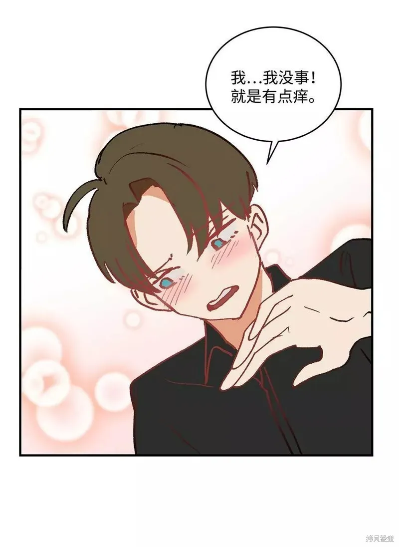 19 第17页
