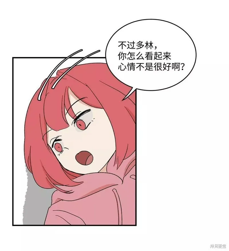 21 第5页