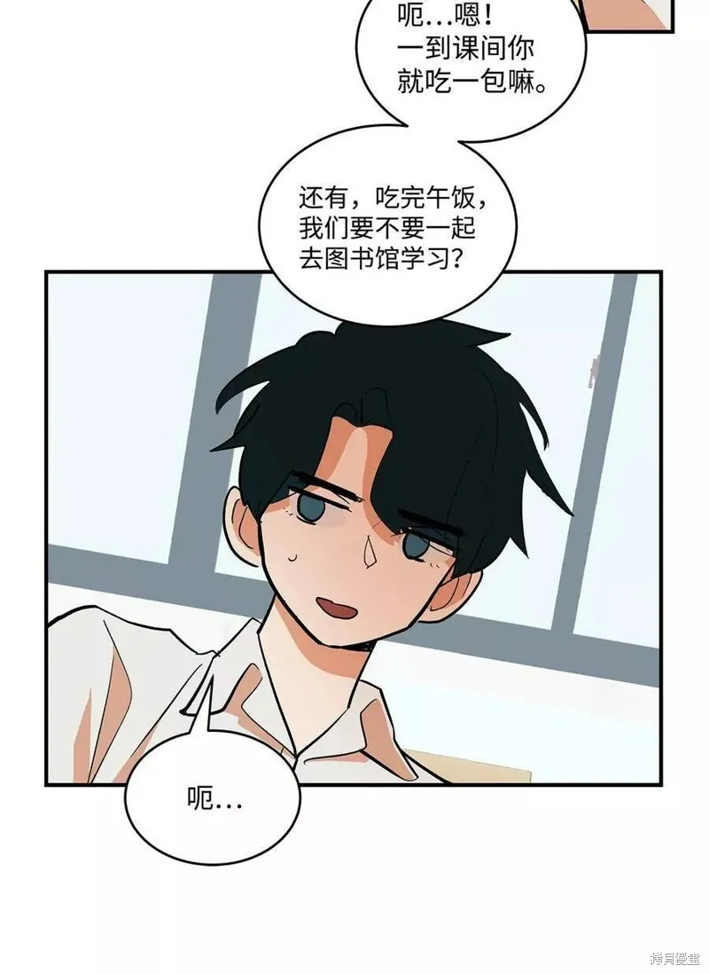 26 第13页