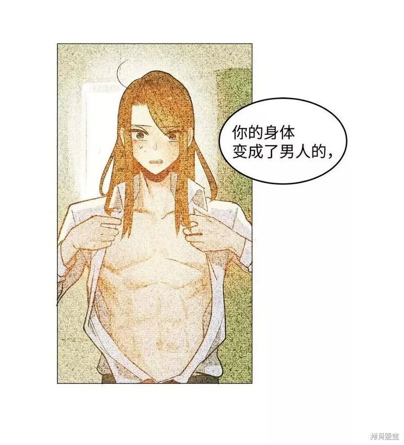 33 第13页