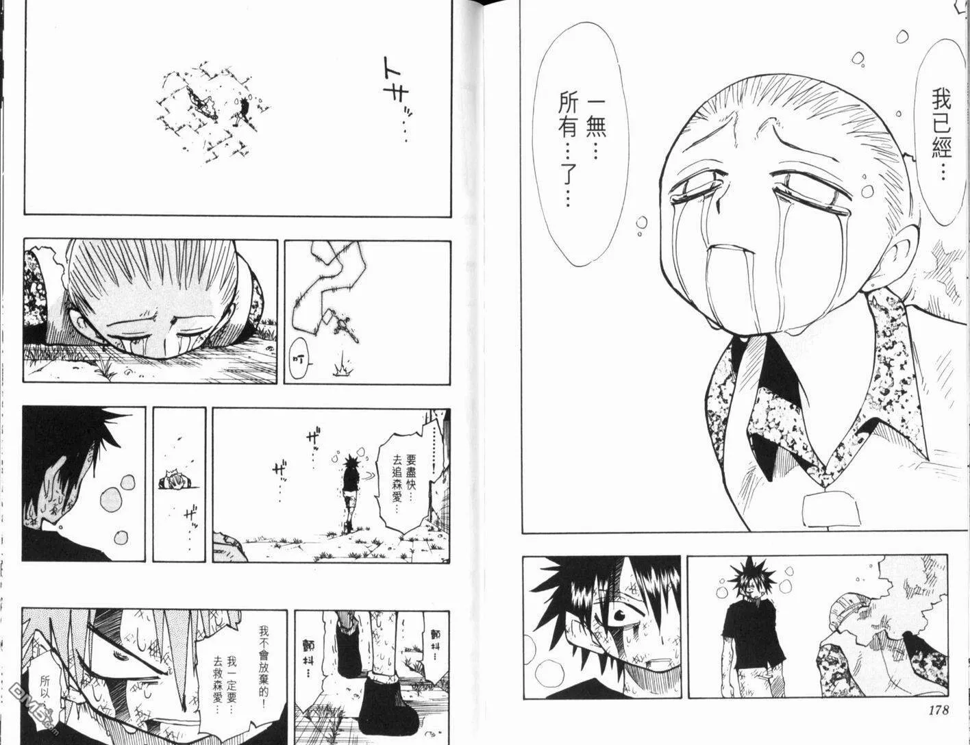 第13卷 第91页