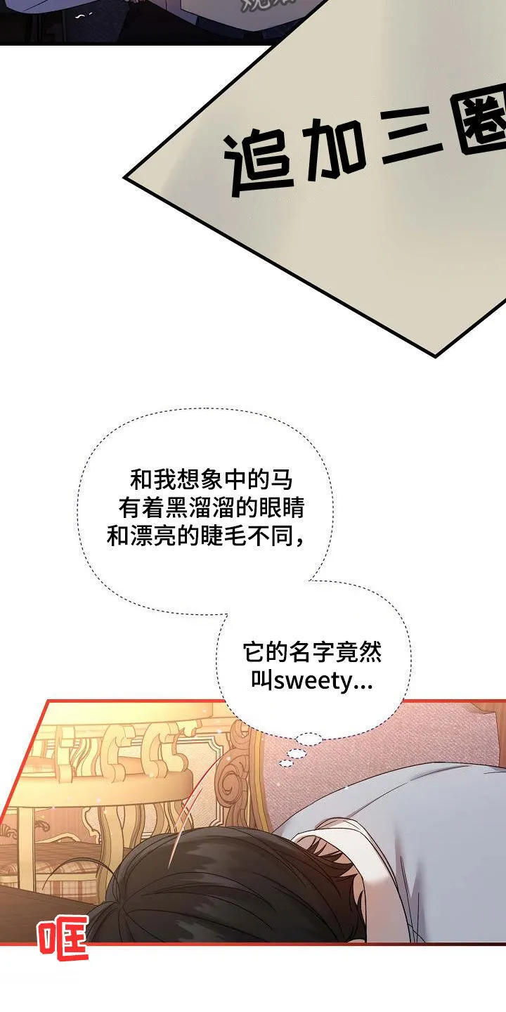 第32章：训练 第24页