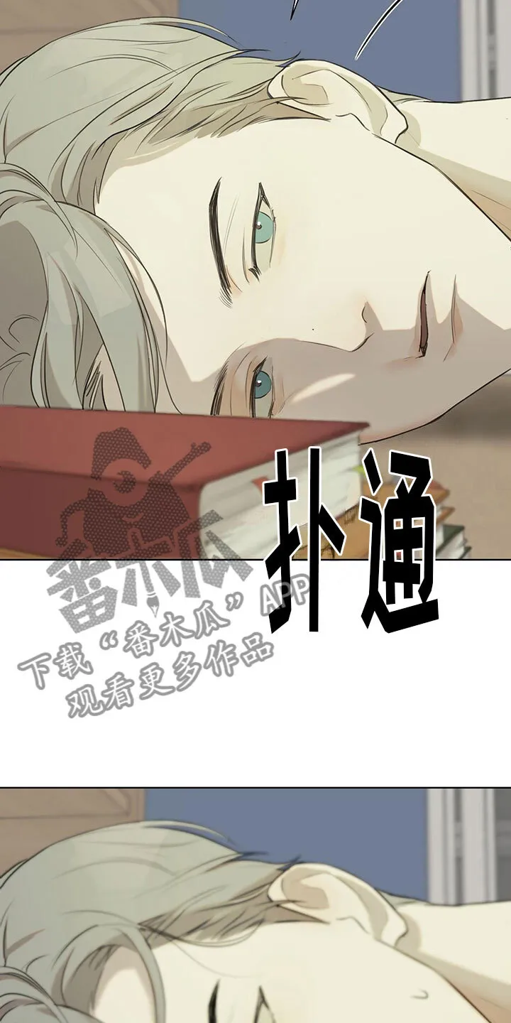 第15章：学习狂人 第31页