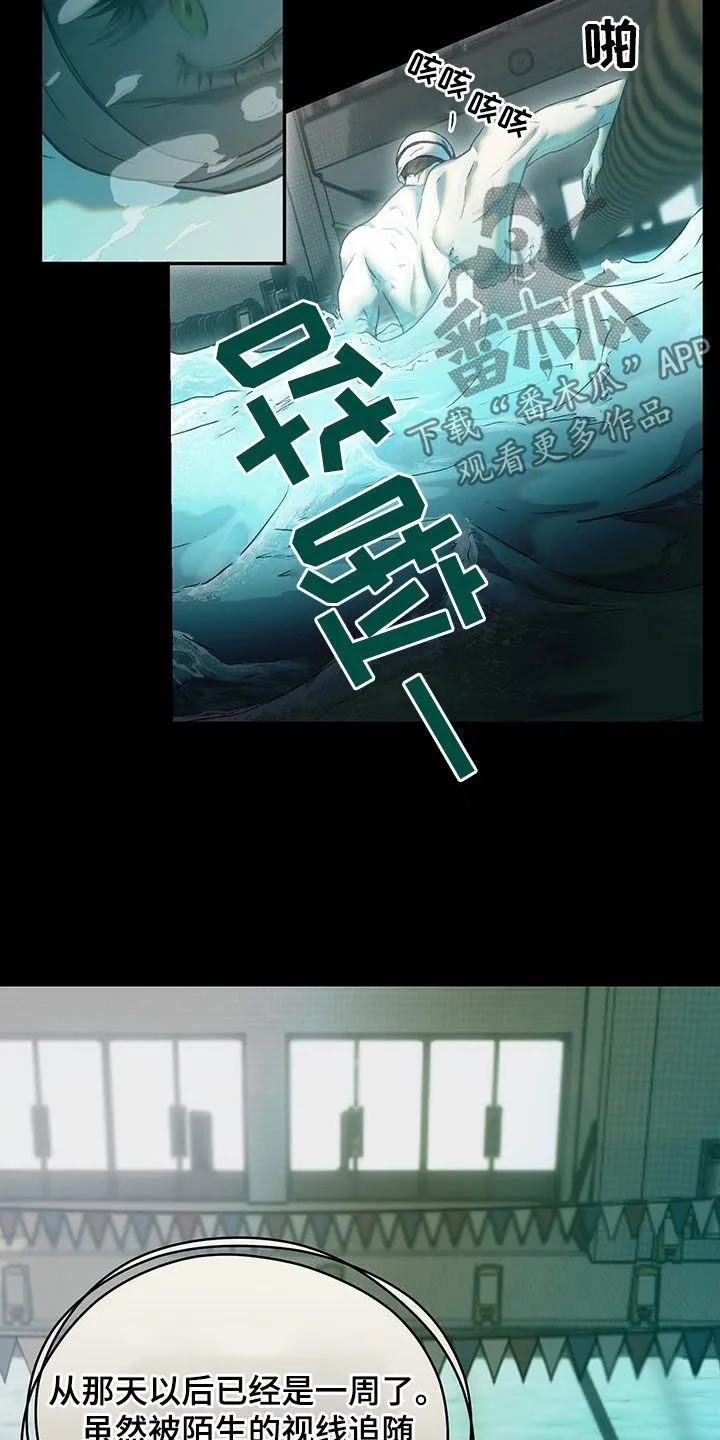 第38章：不相信任何人 第19页