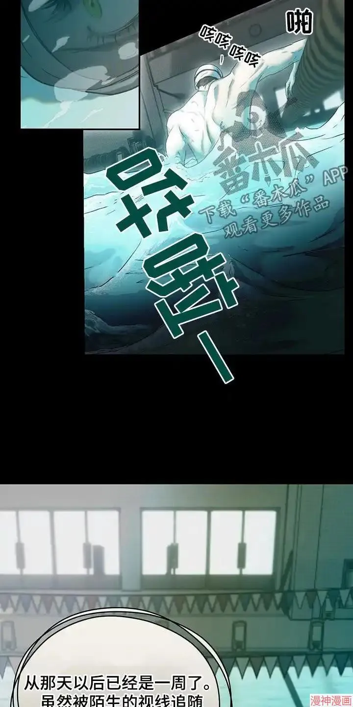 第38话 第19页