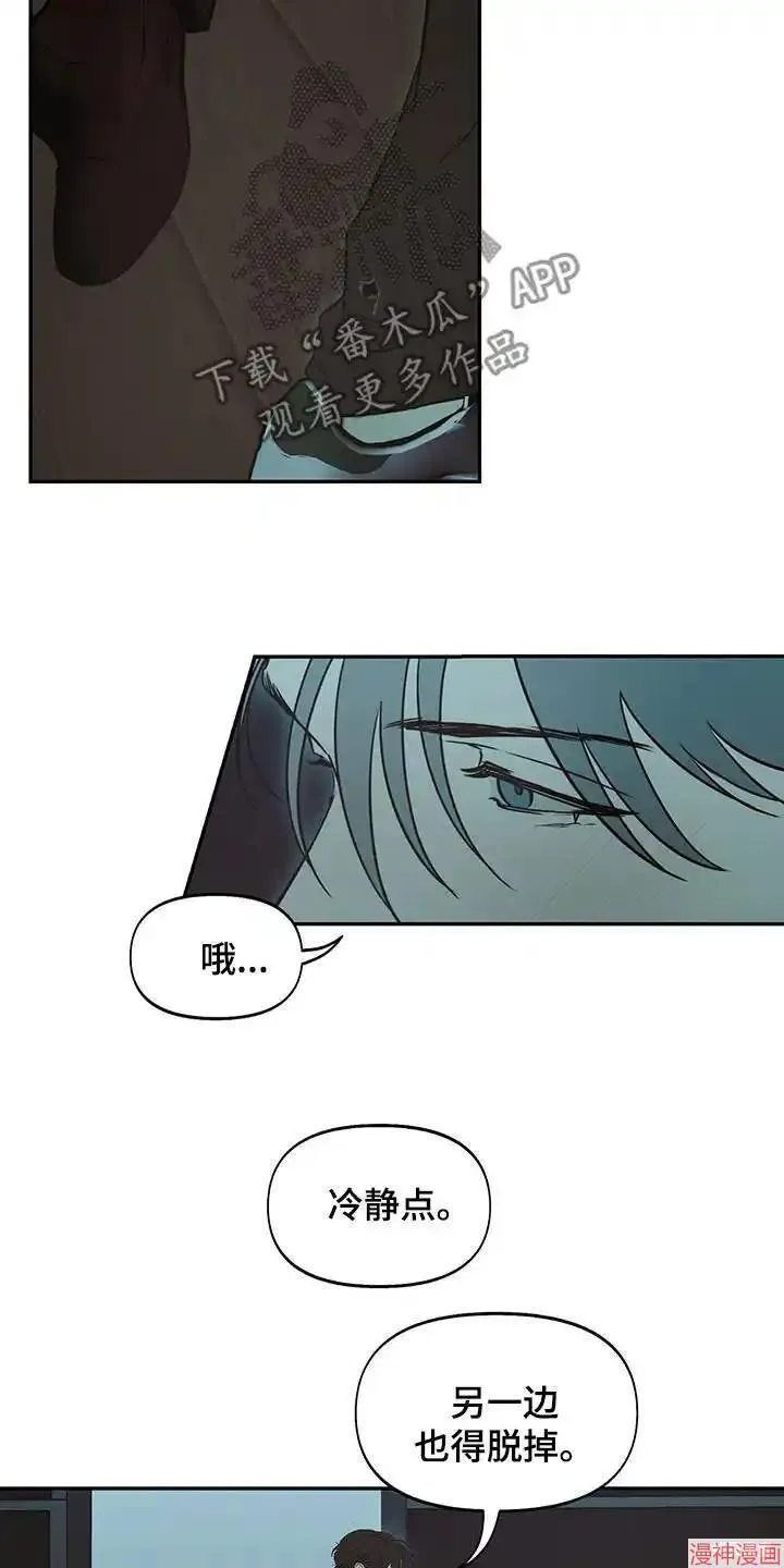 第51话 第19页