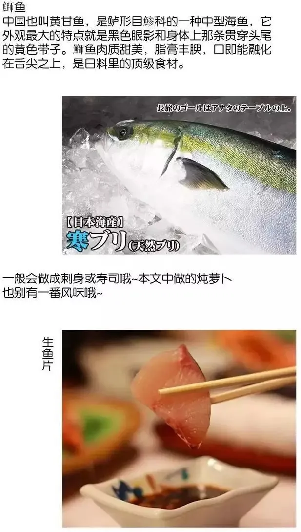 第22回 第34页