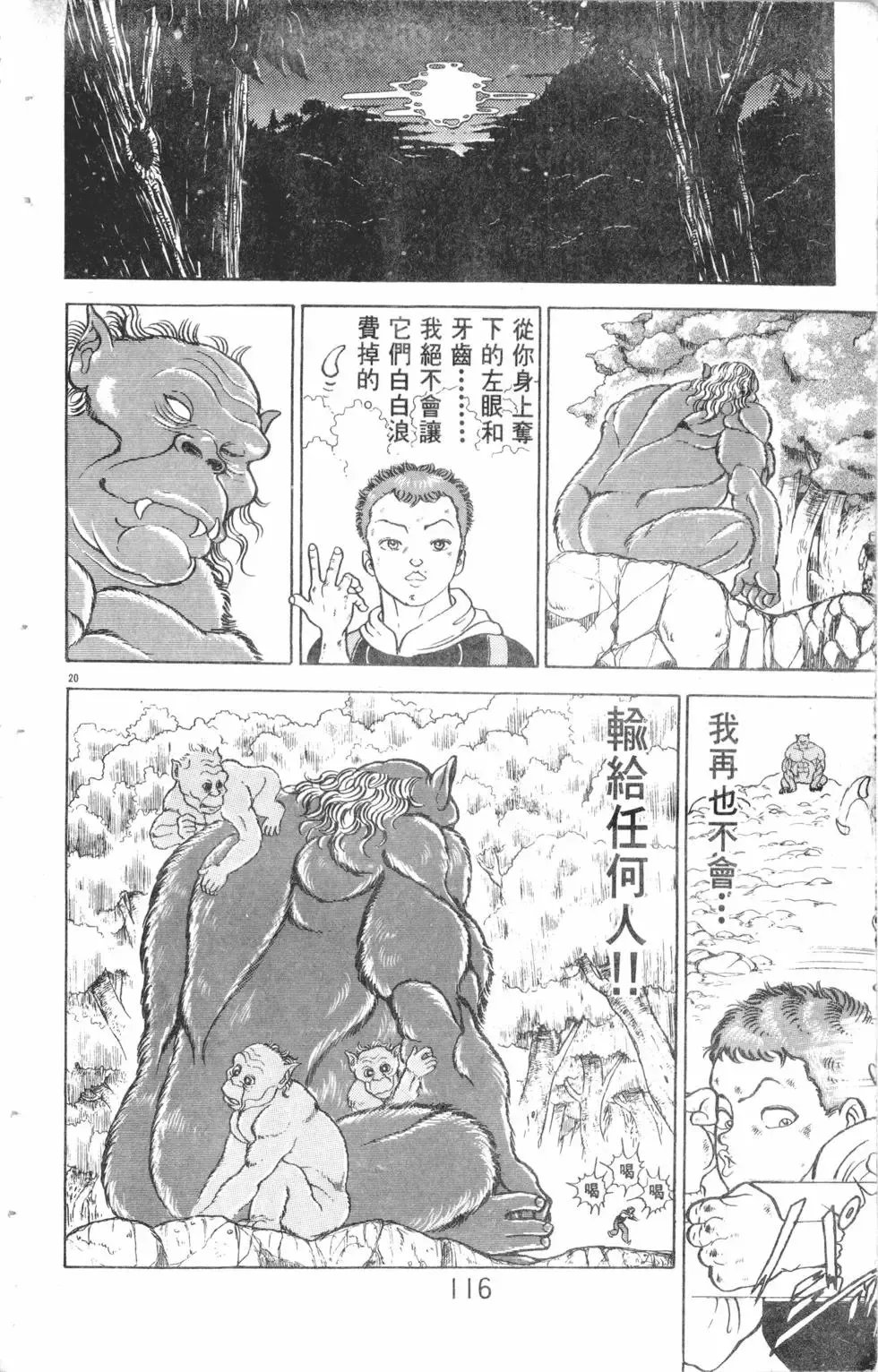 第12卷 第116页