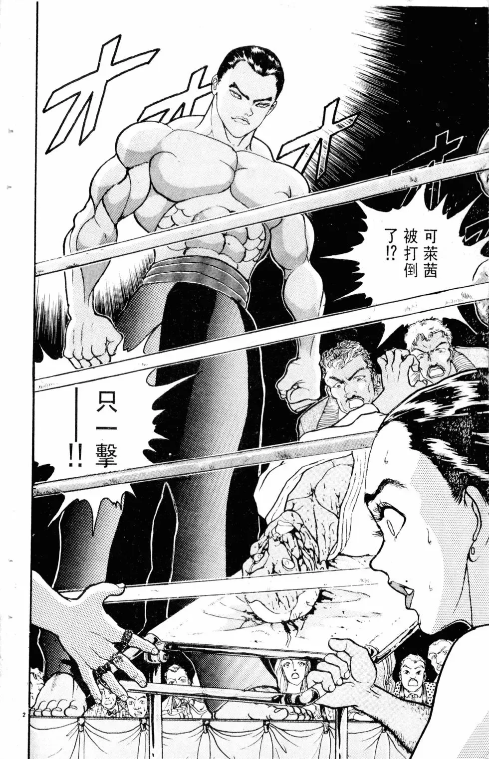 第15卷 第49页
